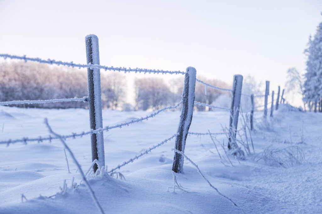 Snöigt landskap på Hallandsåsen.